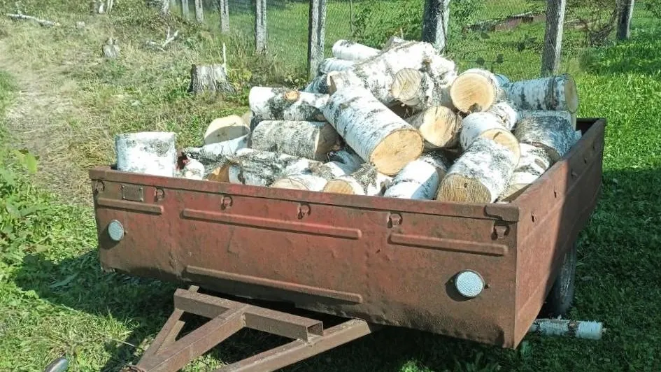 Фото: Комитет лесного хозяйства Московской области