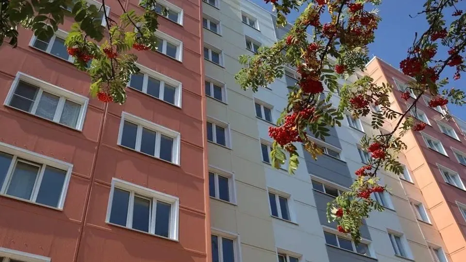 Фото: пресс-служба Администрации г.о. Балашиха