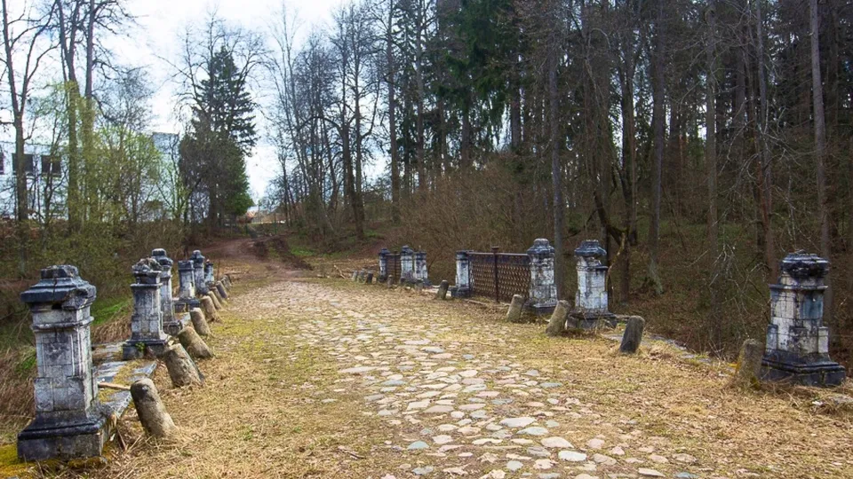 Фото: пресс-служба Администрации г.о. Химки