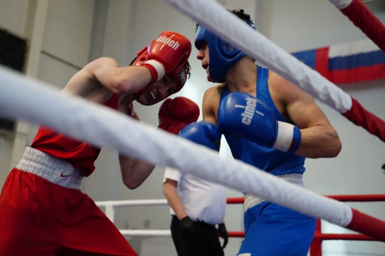 &nbsp;Фото: СШОР по боксу