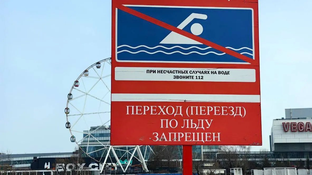 Фото: Вести Красногорска