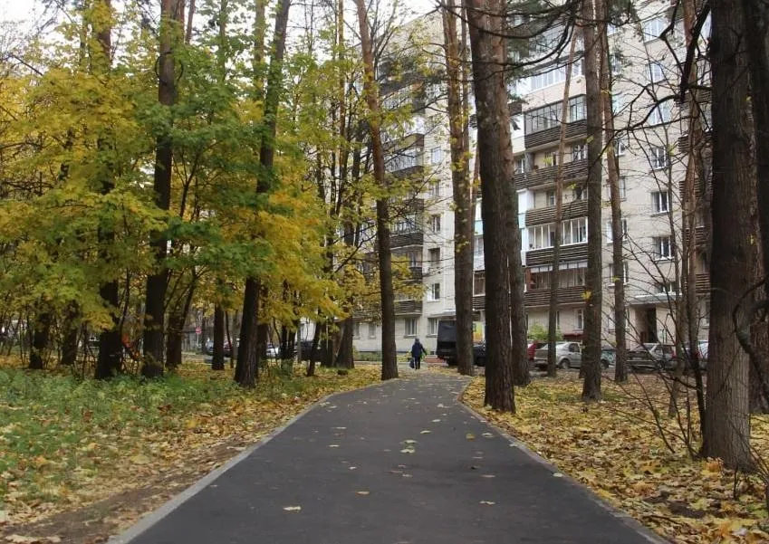 Фото: пресс-служба администрации Протвино