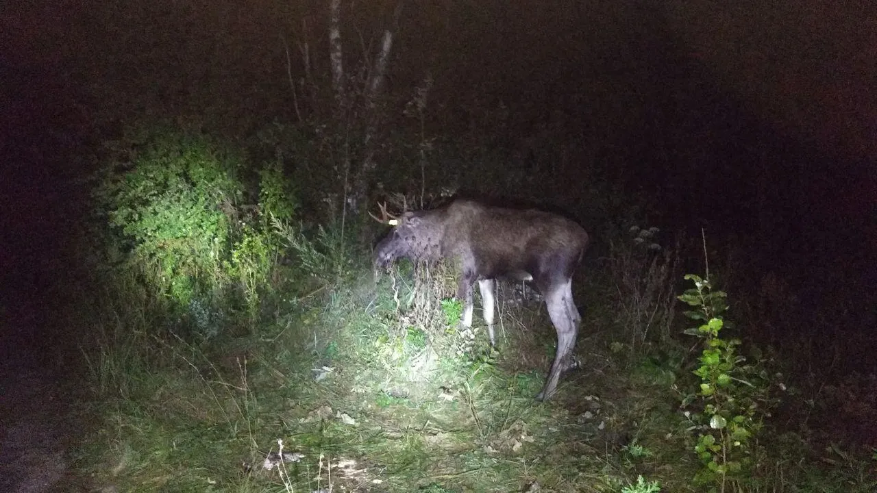 Фото Минэкологии