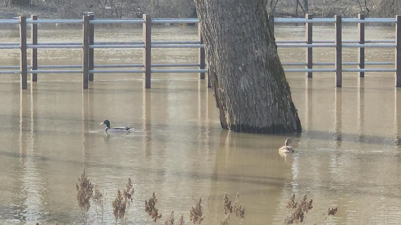 REGIONS/Валерий Гореловский