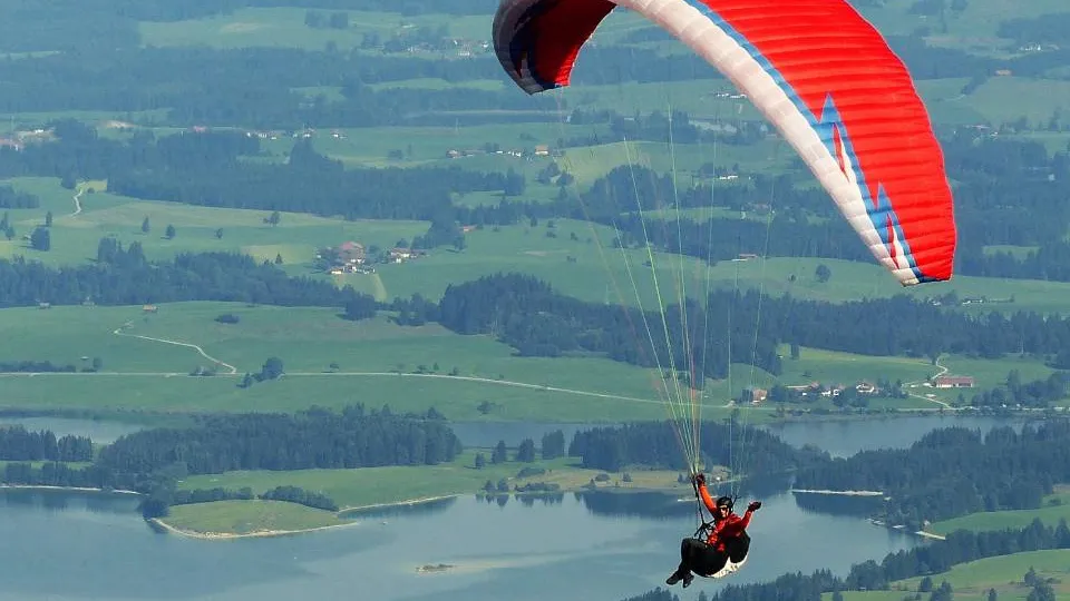 Фото: pxhere.com