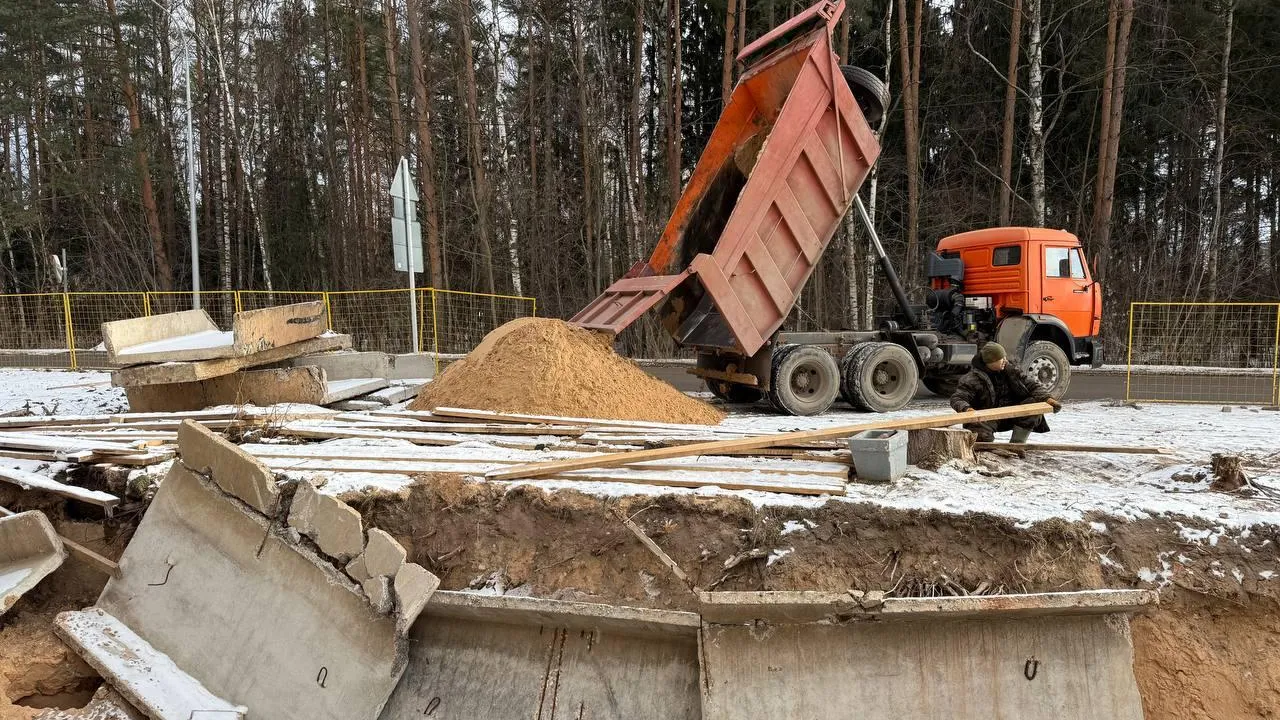 Фото: пресс-служба администрации г.о. Дубна