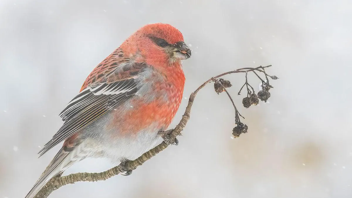 личный архив Елены Швыдун