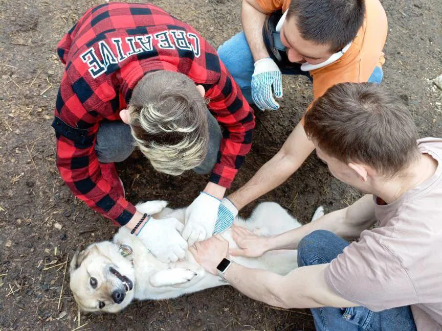 Фото: Министерство социального развития Московской области