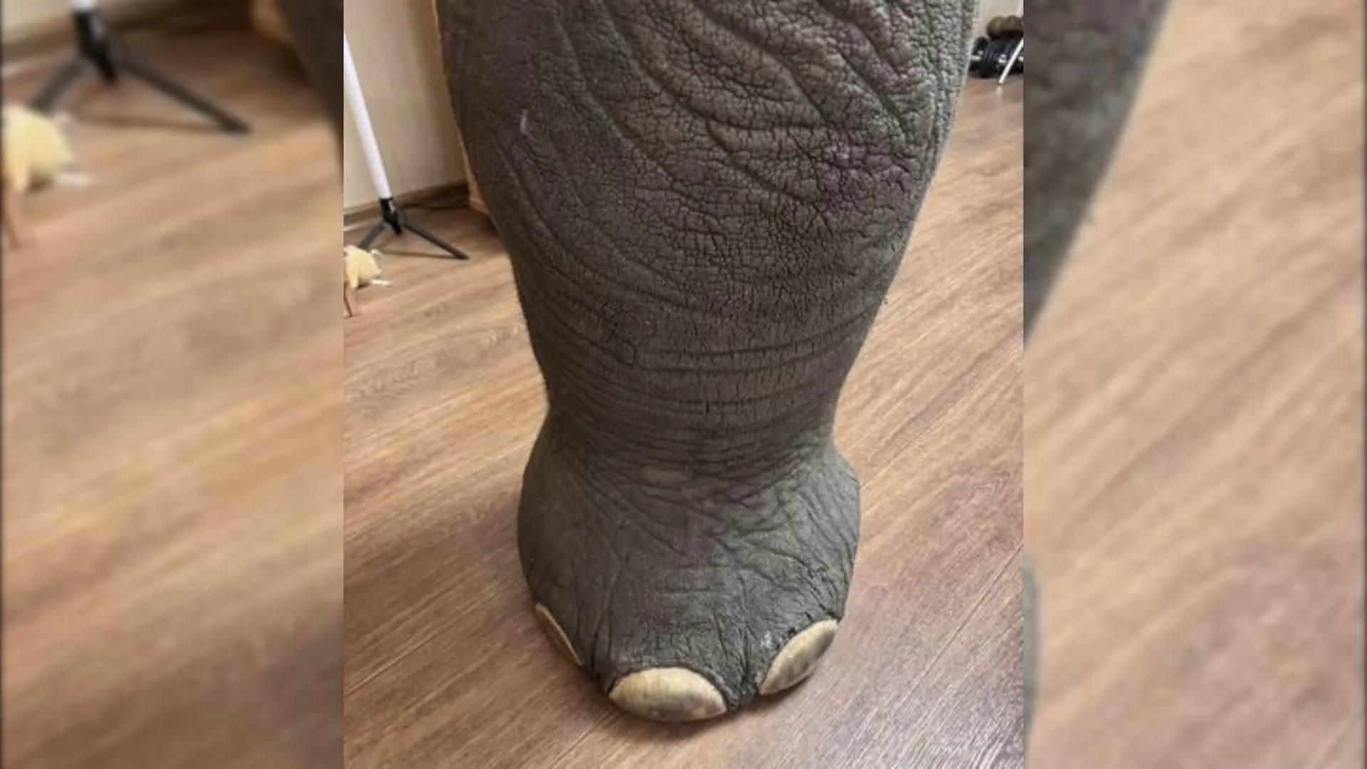 городская доска объявлений