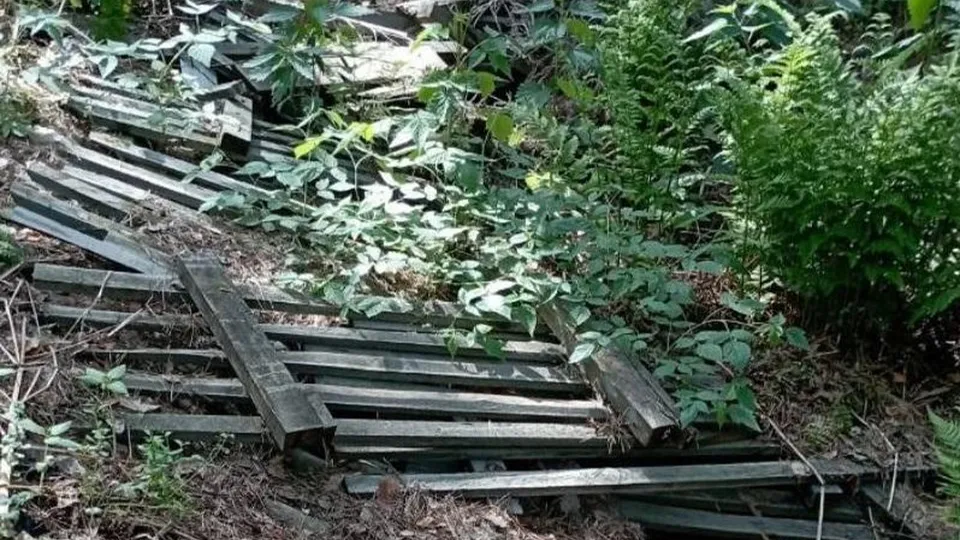 Фото: Минэкологии Московской области