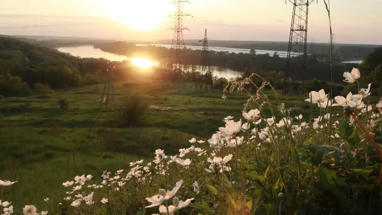 Мария Панина