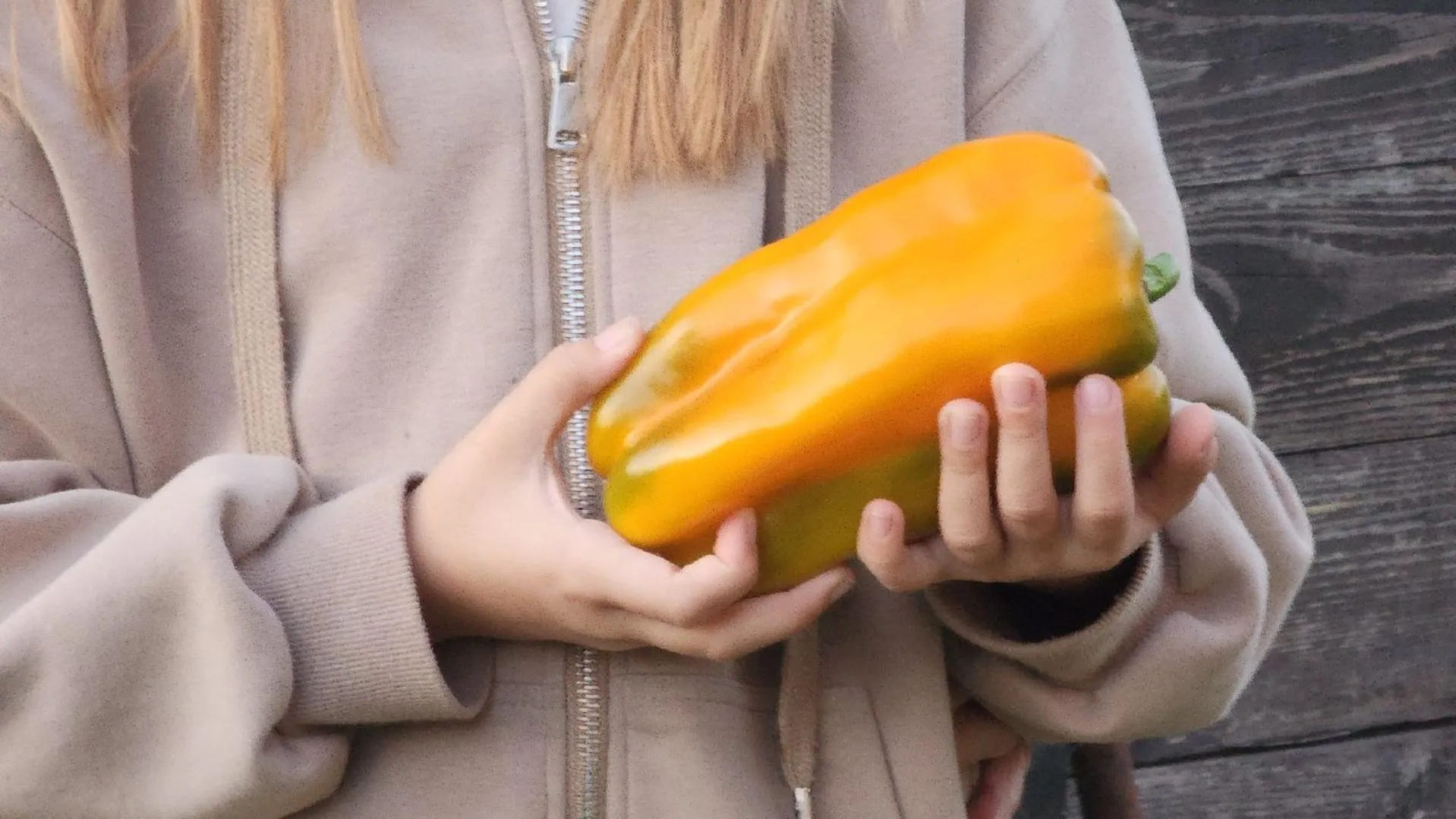 МедиаБанк Подмосковья/Алена Притула