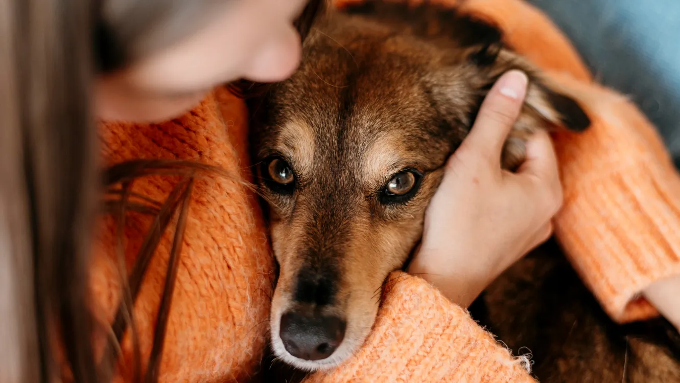 Фото: freepik.com