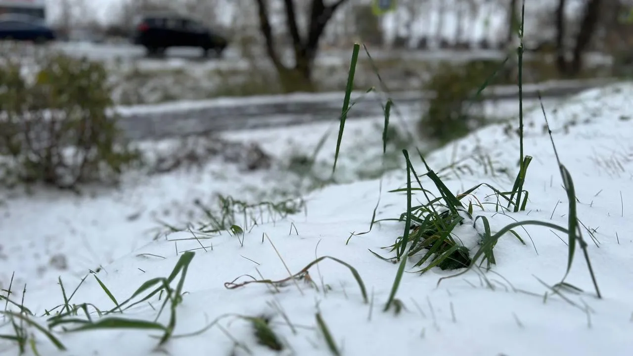 Фото: Светлана Плотникова