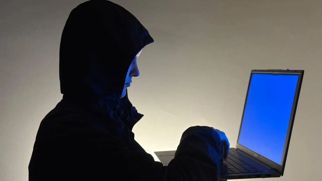 REGIONS/Полина Крачун