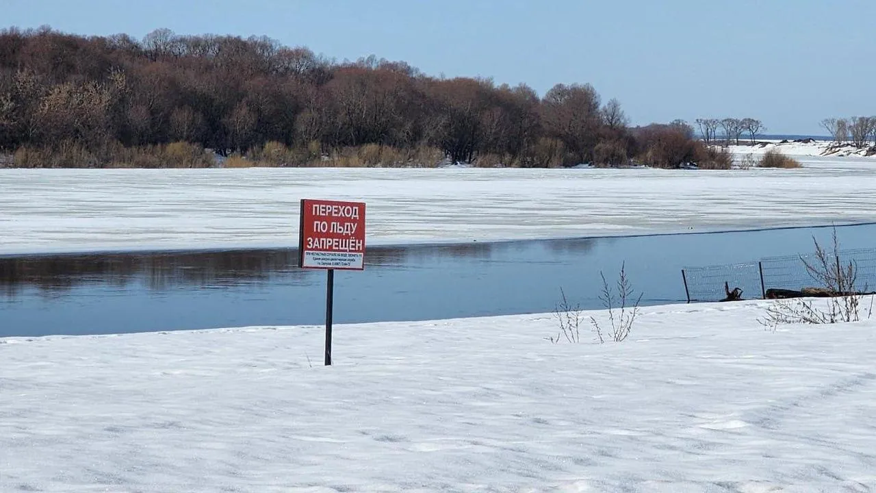 МедиаБанк Подмосковья/Валерий Гореловский