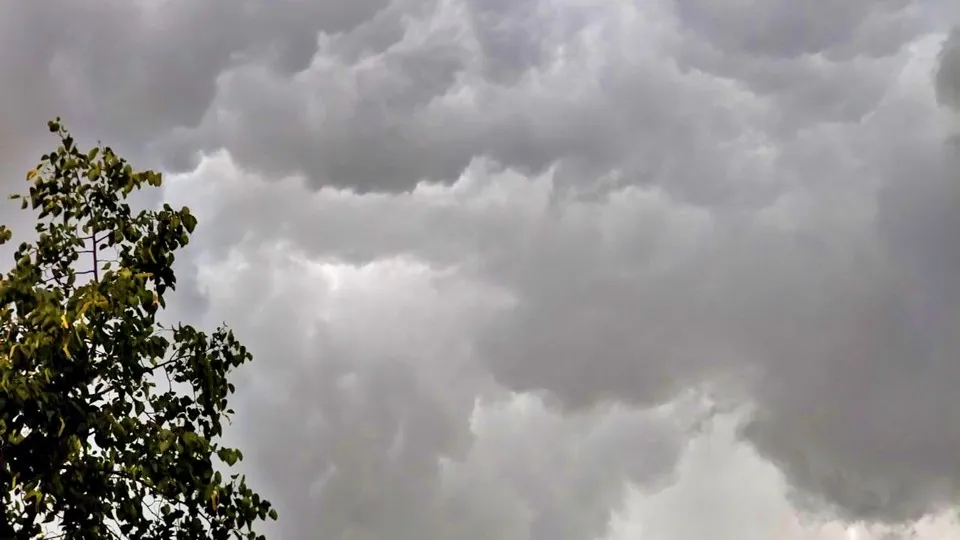 Фото: REGIONS/Алексей Селиверстов