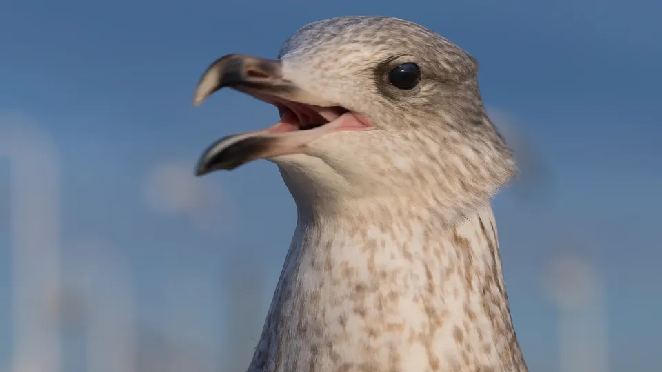 Фото: istockphoto.com