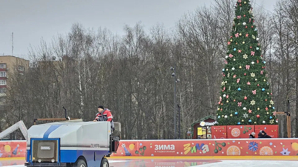 Фото: МедиаБанк Подмосковья/Вероника Горбачева
