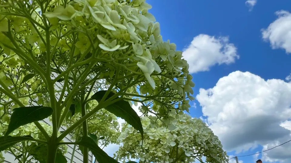 Фото: REGIONS/Елена Фурман