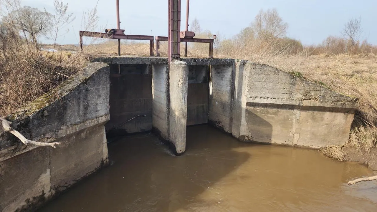 МедиаБанк Подмосковья/Дмитрий Беденко