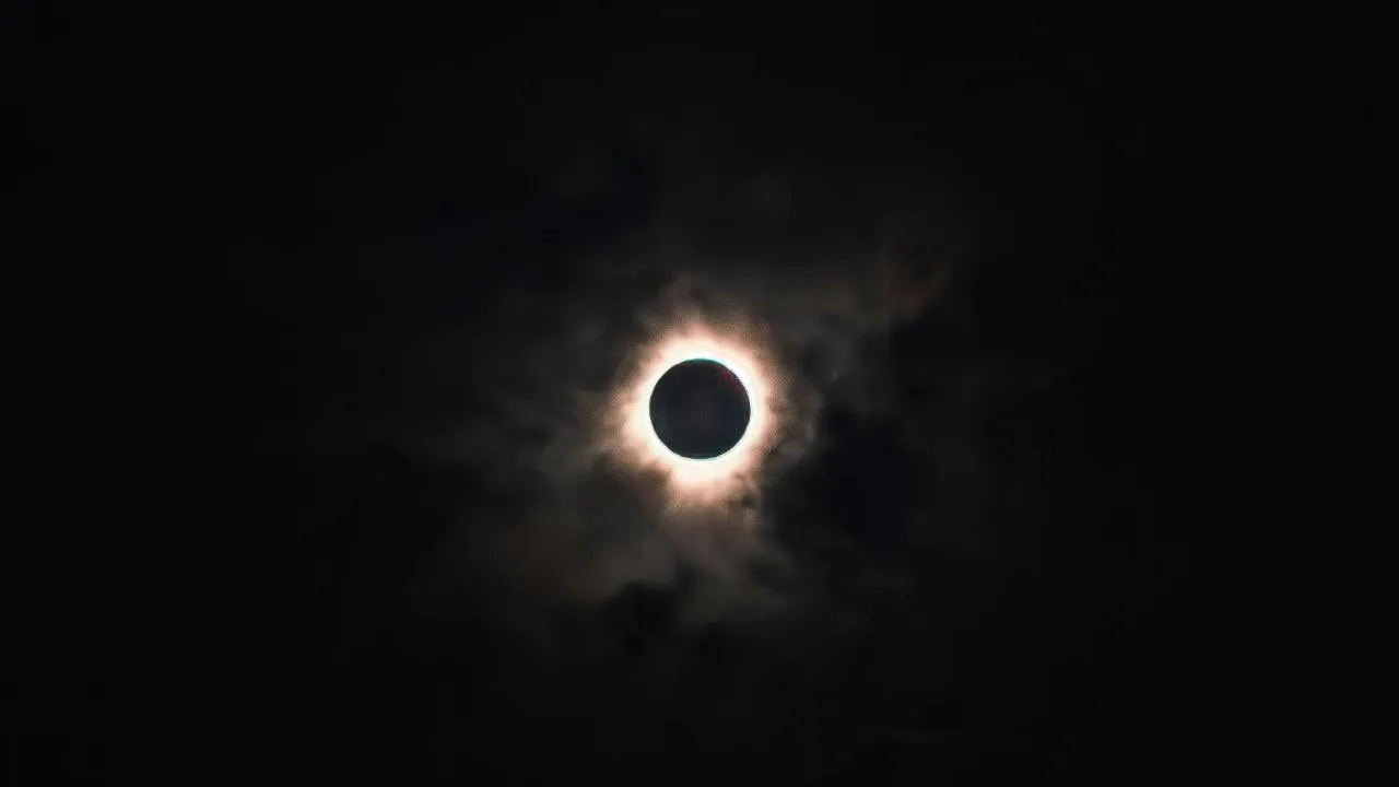 istockphoto.com