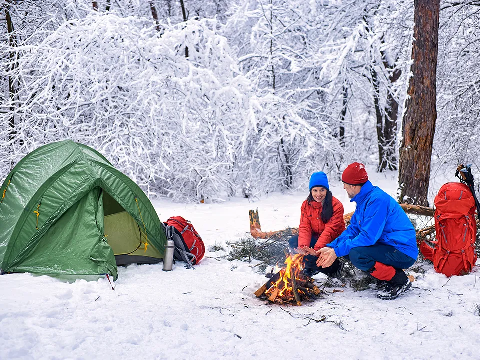 Фото: istockphoto.com/Bondariev