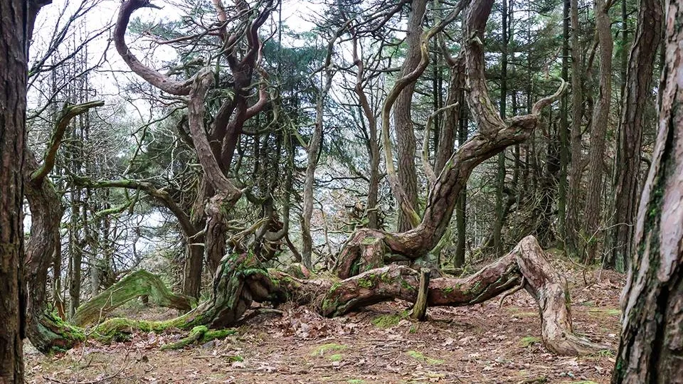 Фото: istockphoto.com