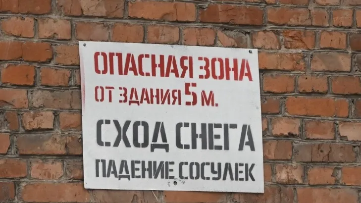 Фото: РИА Новости/Илья Питалев