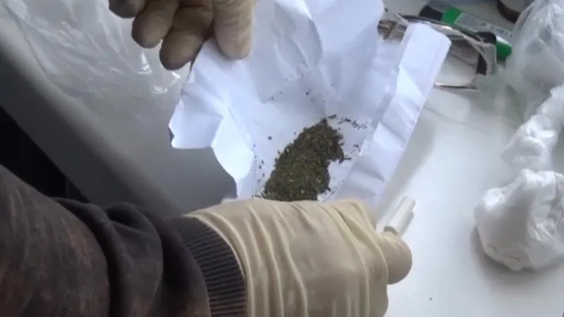 ГУ МВД по МО