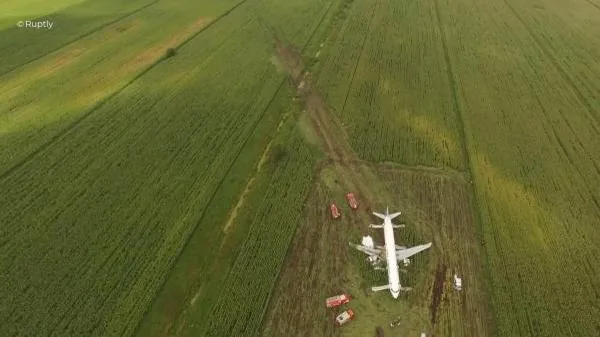 Экипаж, посадивший самолет А-321 в Подмосковье, будет премирован