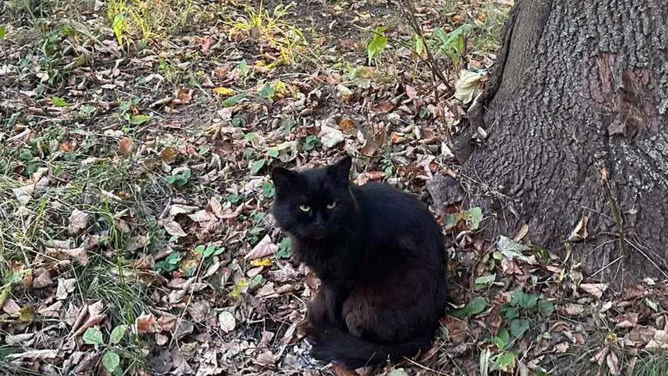 Фото: Александра Серова