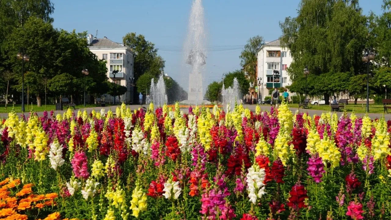 Фото: пресс-служба Администрации г.о. Серпухов