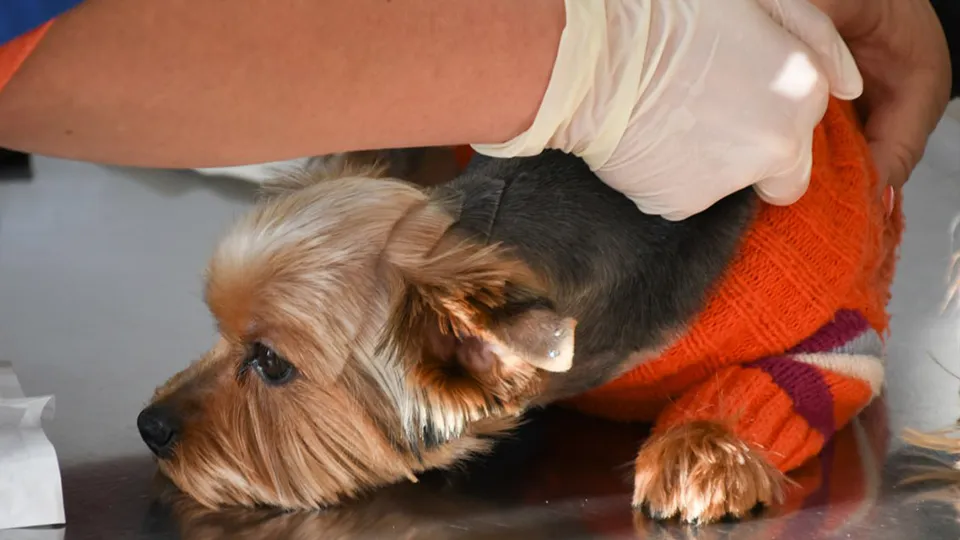 Фото: REGIONS/Евгений Мазепов