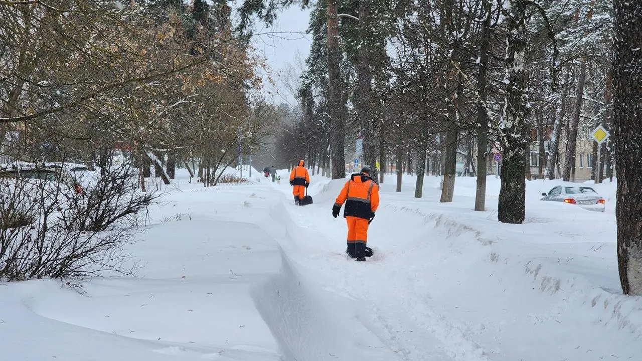 REGIONS/Анна Мороз