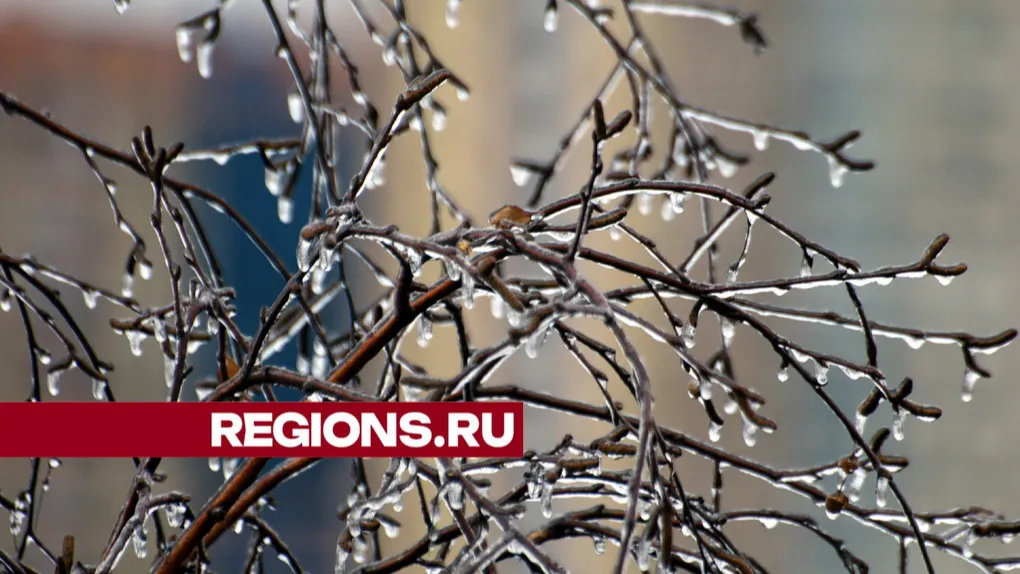 Фото: ©Александр Легкий