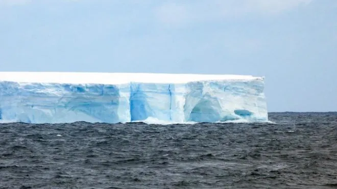 Фото: Серей Кашин/ААНИИ