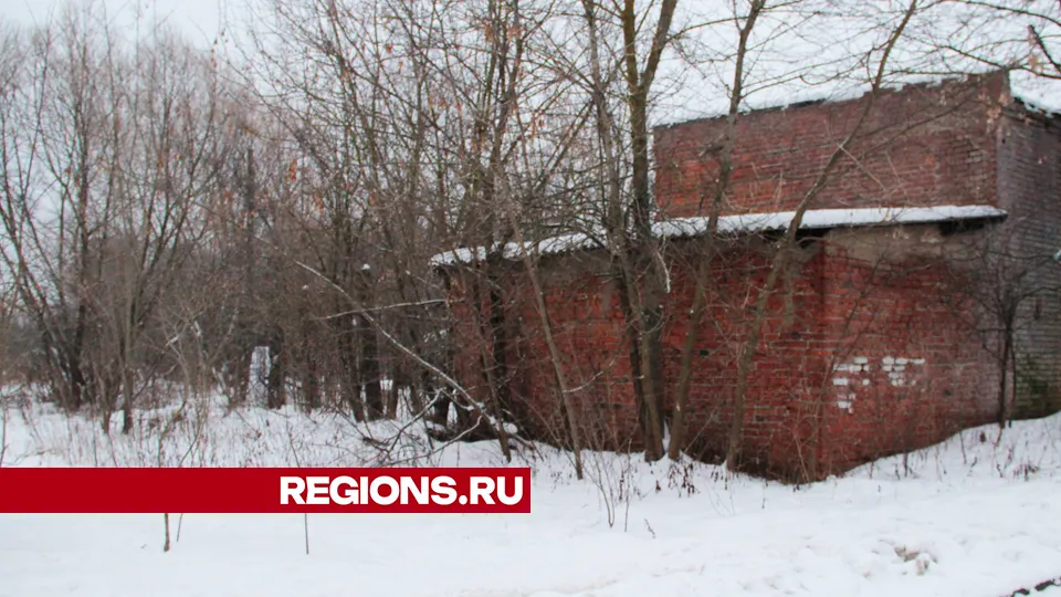 Фото: REGIONS/Василий Тремасов