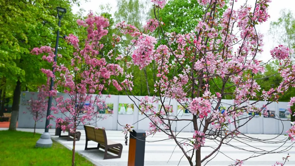 Фото: пресс-служба администрации Ленинского г.о.