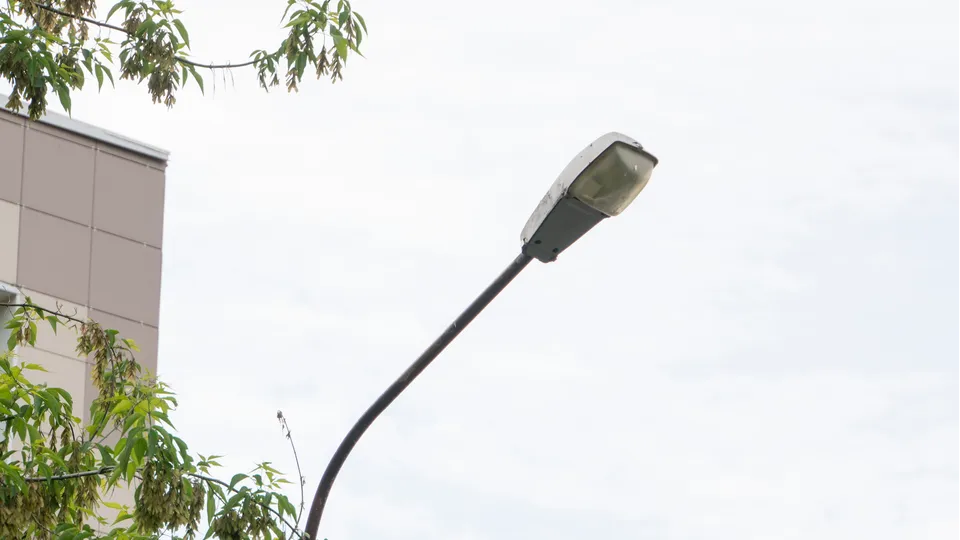 Фото: REGIONS/Наталия Надточая