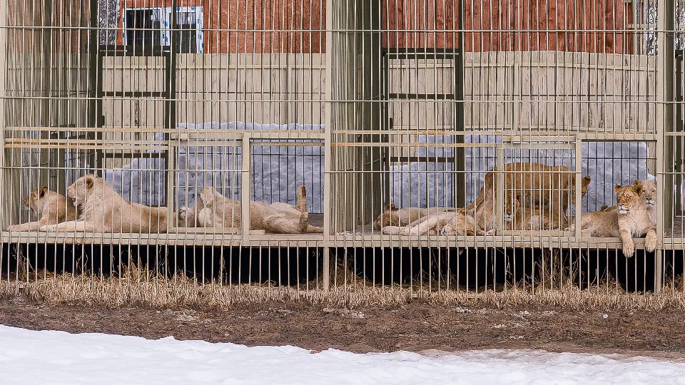 Фото: медиасток.рф