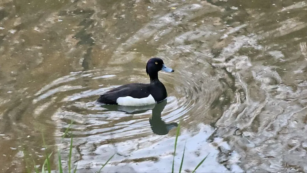 Фото: А. Ульянов