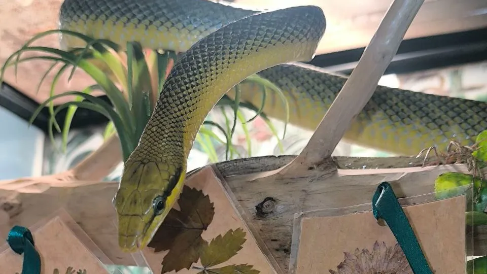 Фото: t.me/volokolamskiigo