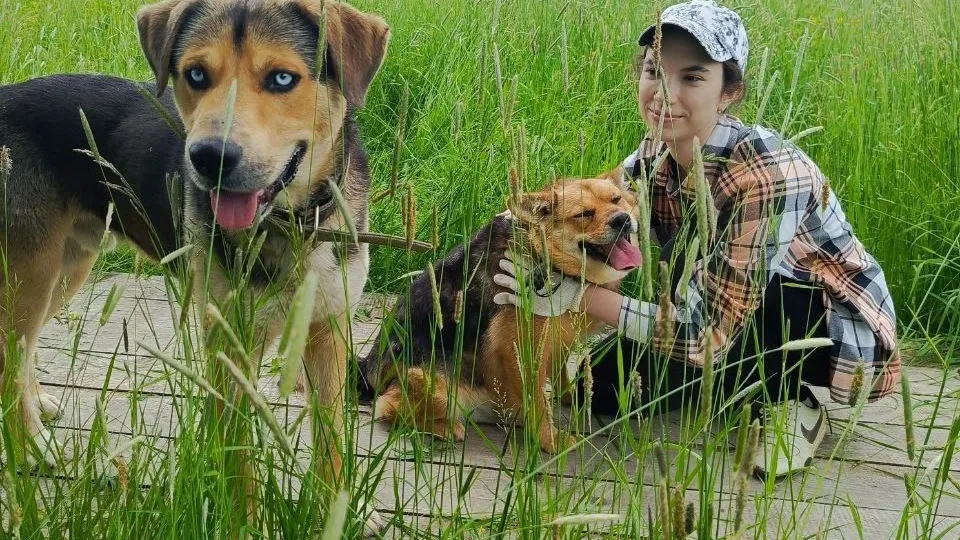 Фото: vk.com/ПРИЮТ МОЖАЙСК