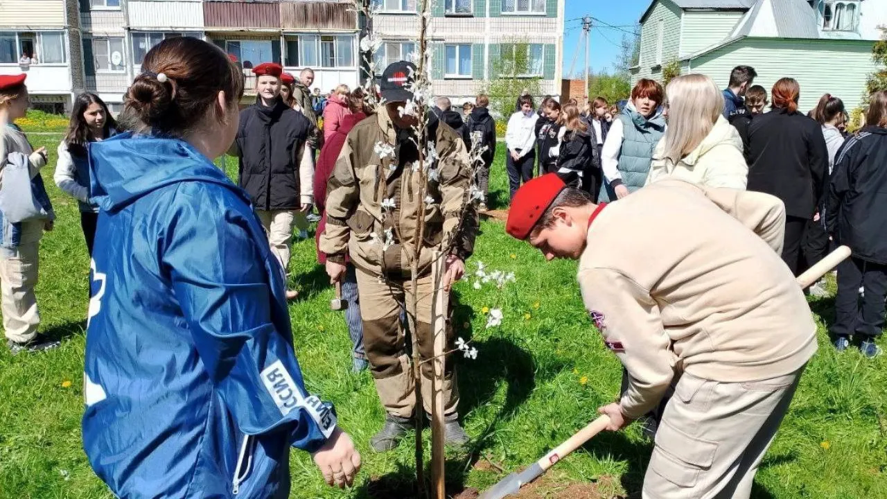 Фото: t.me/ParkVerbilki