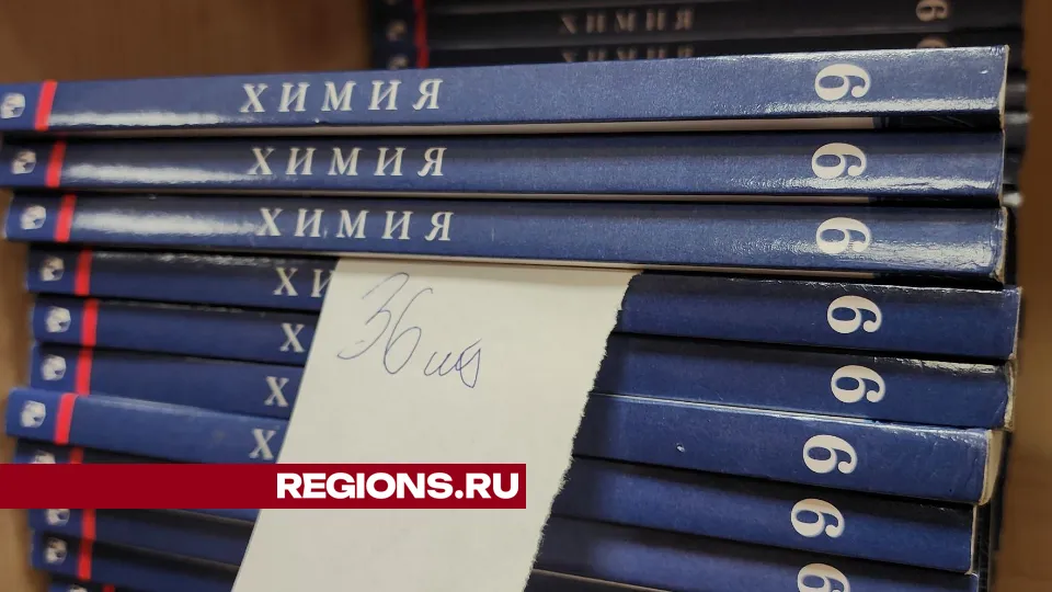 Фото: Екатерина Данилина