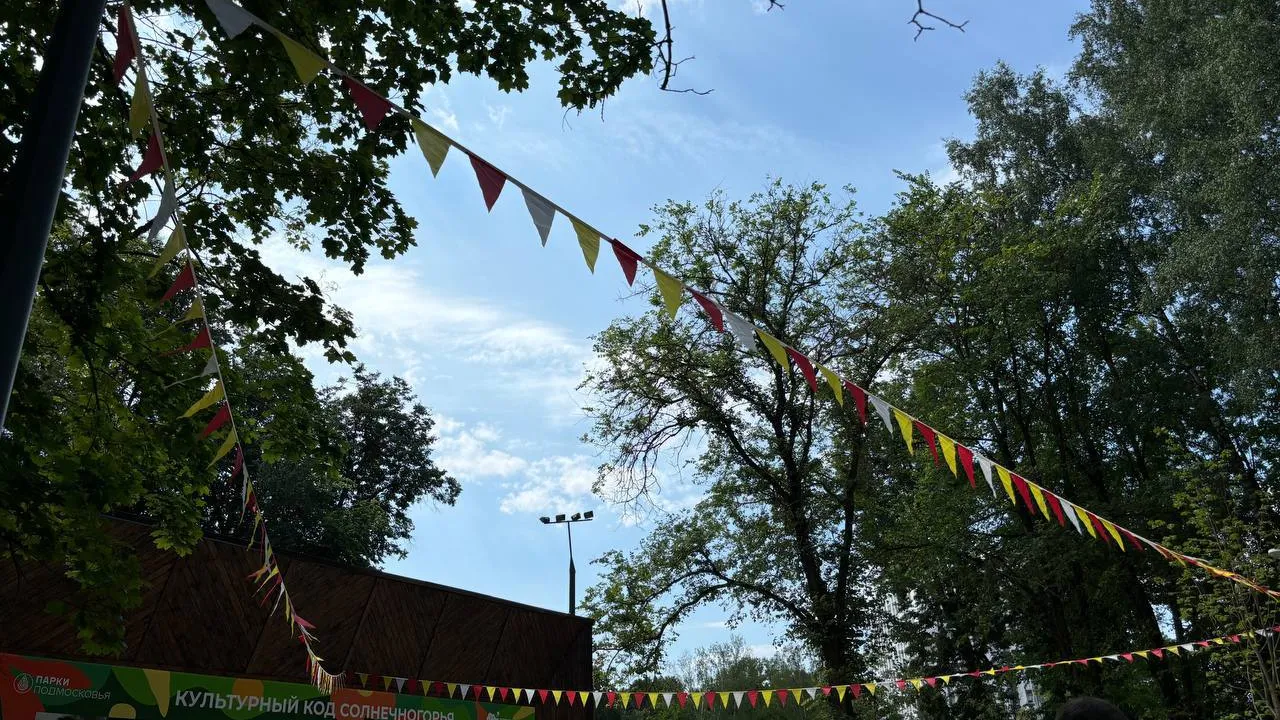 Фото: пресс-служба администрации г.о. Солнечногорск