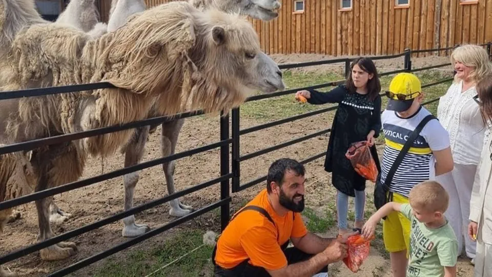 Фото: пресс-служба Администрации г.о. Серпухов