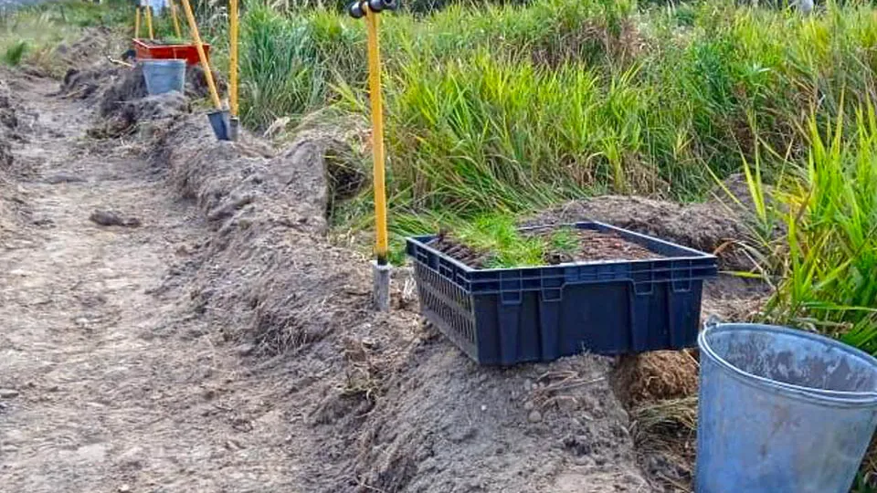 Фото: Комитет лесного хозяйства Московской области