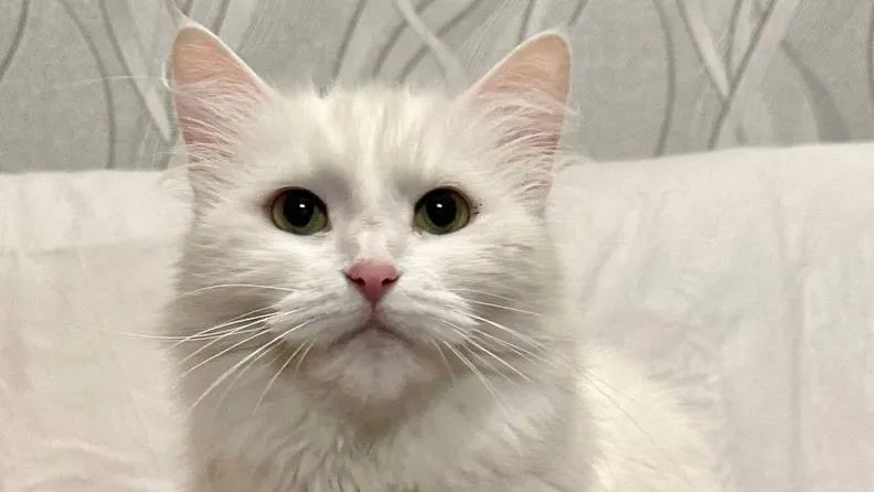 Фото: Подслушано на Глебовке (новая) / ВКонтакте